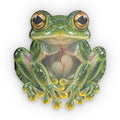 Glass Frog Shaped Pillow — Realistic Green Tree Frog Decorative Cushion
