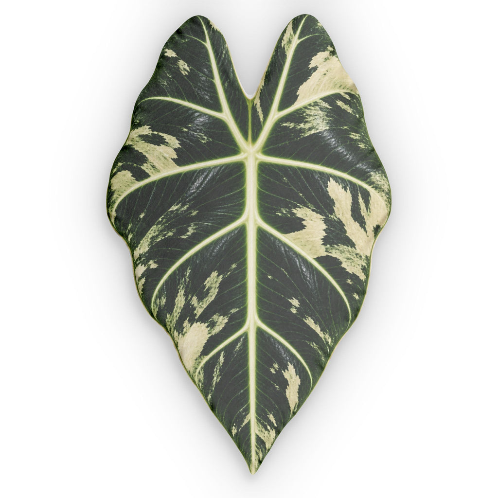 Varigated Alocasia Frydek Leaf-Shaped Decorative Pillow — Tropical Variegated Plant Cushion