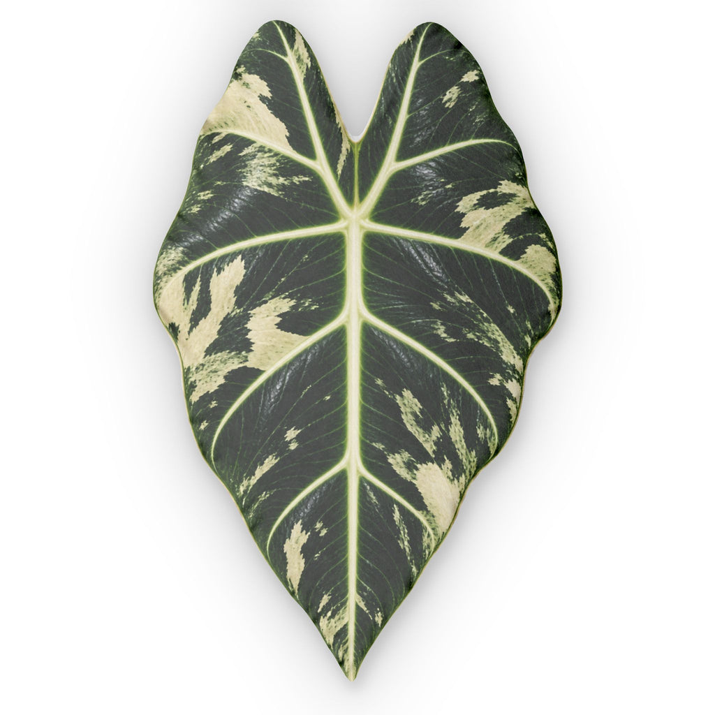 Varigated Alocasia Frydek Leaf-Shaped Decorative Pillow — Tropical Variegated Plant Cushion