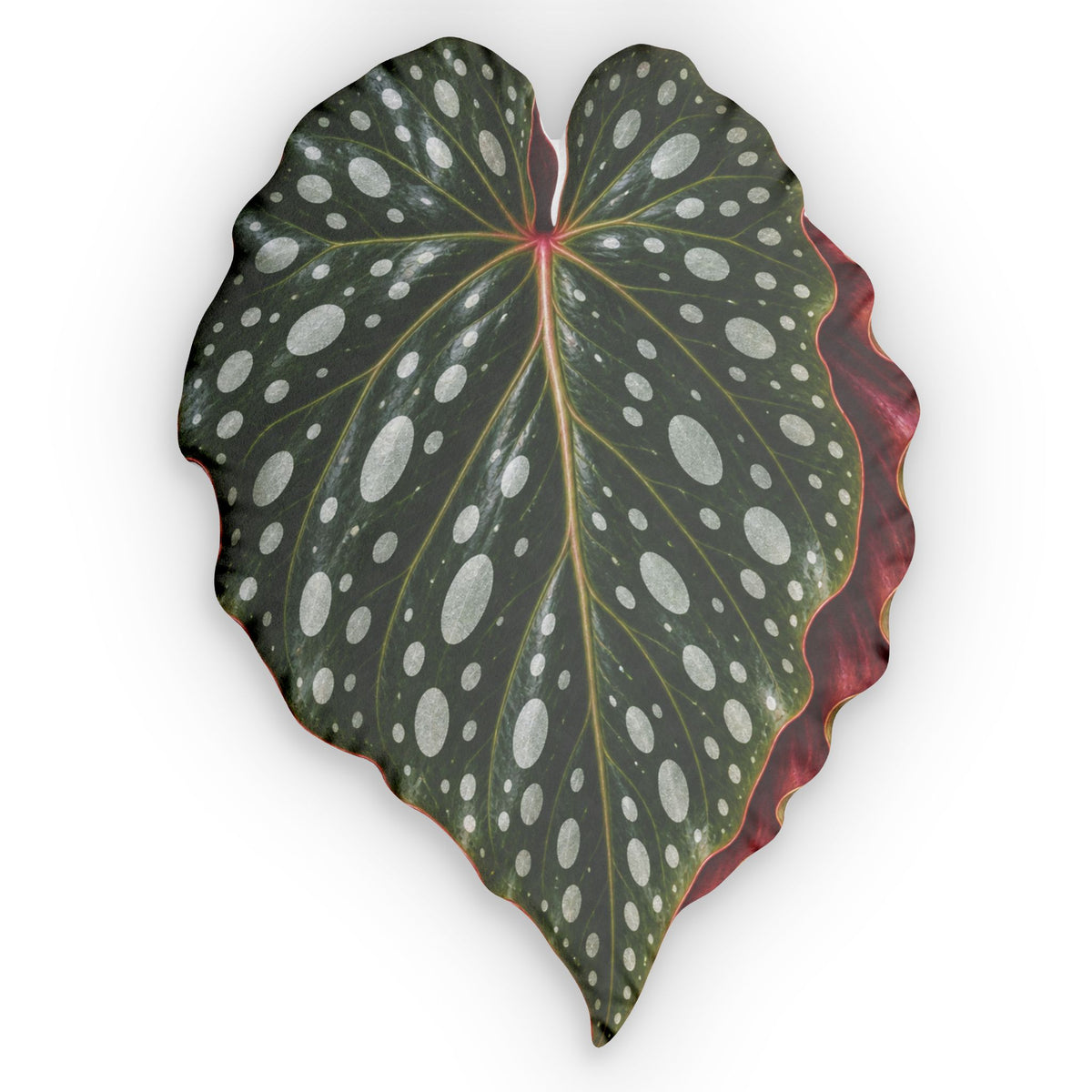 Begonia  Maculate Leaf Pillow — Custom Shaped Decorative Cushion