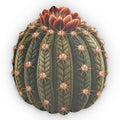 Cactus Shaped Pillow — Round Succulent Throw Pillow