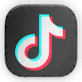 TikTok Logo Shaped Pillow — Custom Social Media Decorative Pillow