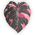 Pink Princess Philodendron  Leaf Pillow