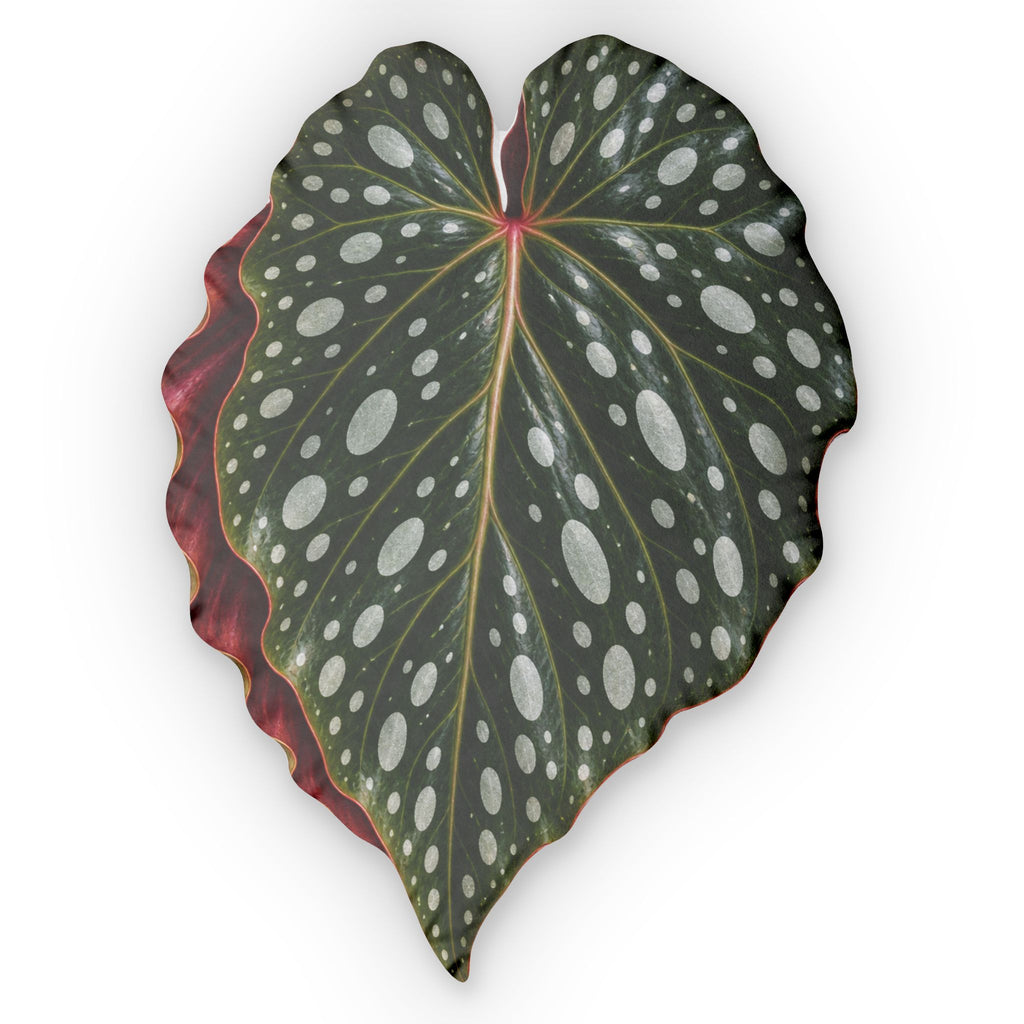 Begonia  Maculate Leaf Pillow — Custom Shaped Decorative Cushion