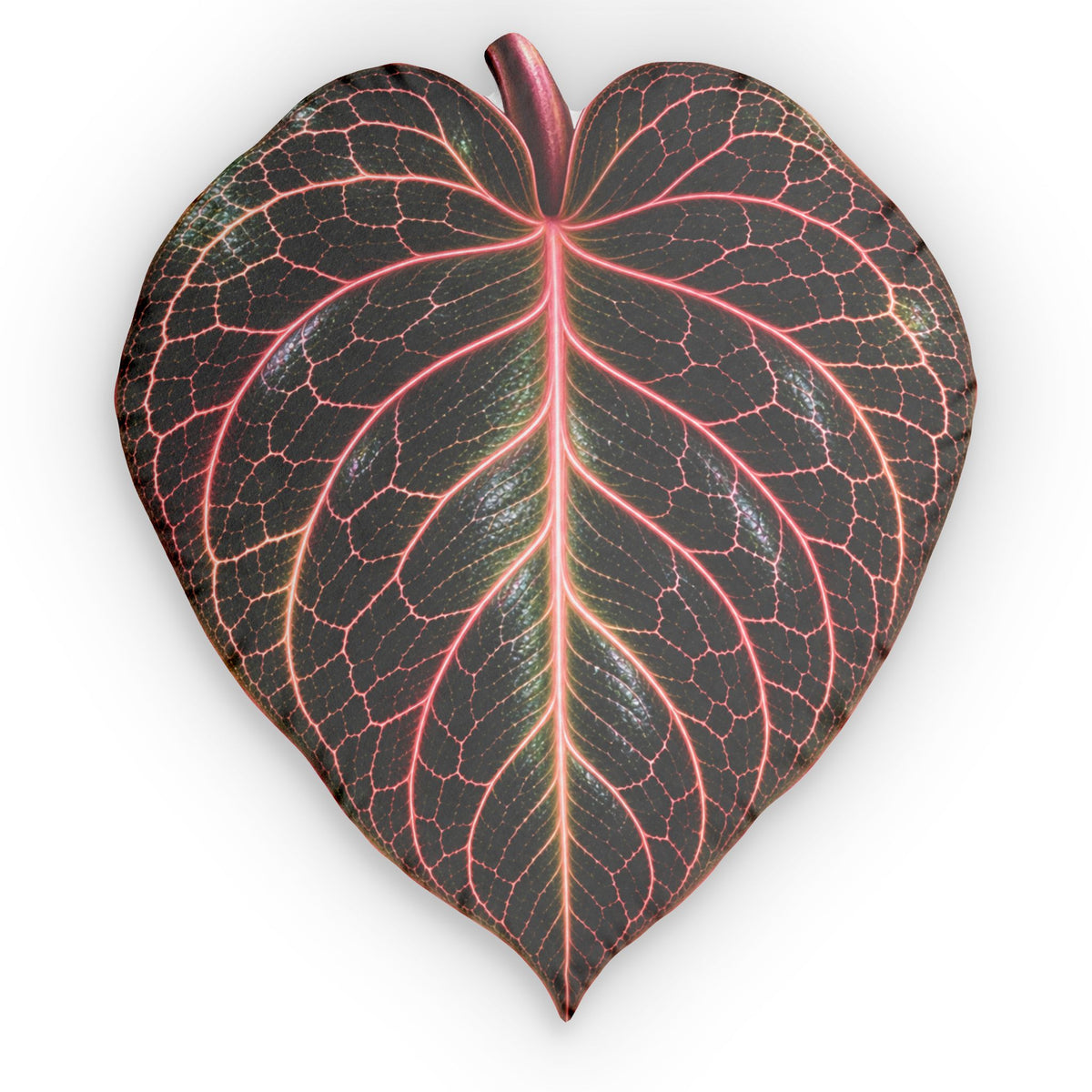 Jewel Orchid Leaf Pillow — Botanical Decorative Throw Pillow with Pink Veined Anthurium Design