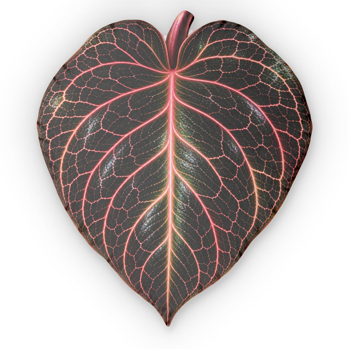 Jewel Orchid Leaf Pillow — Botanical Decorative Throw Pillow with Pink Veined Anthurium Design