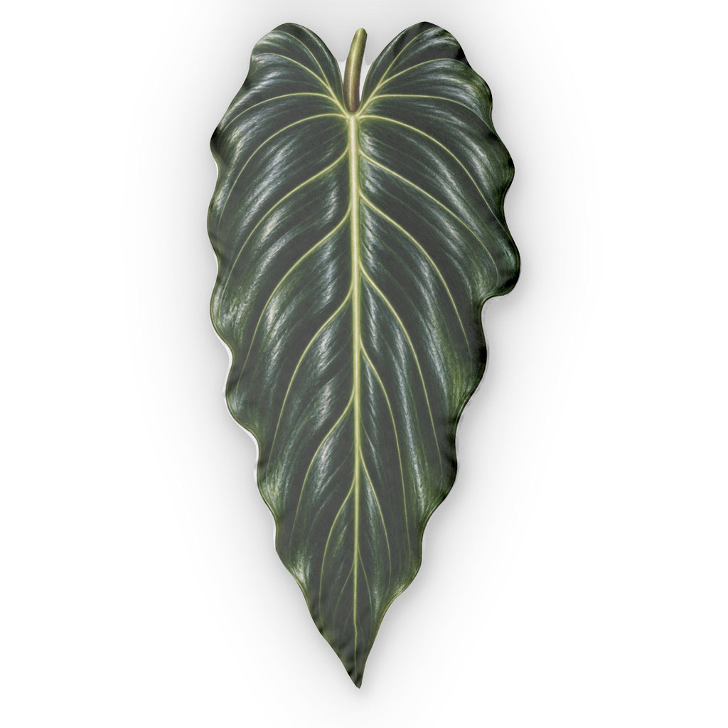 Philodendron Spiritus-Sancti Decorative Pillow — Botanical Alocasia Print Cushion